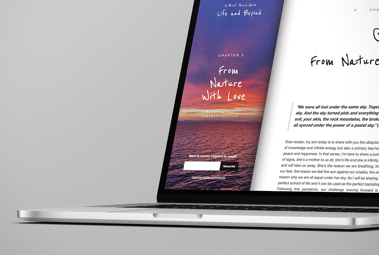 A Brief Theory About Life and Beyond digital e-book website by Reform Digital, mockup on laptop